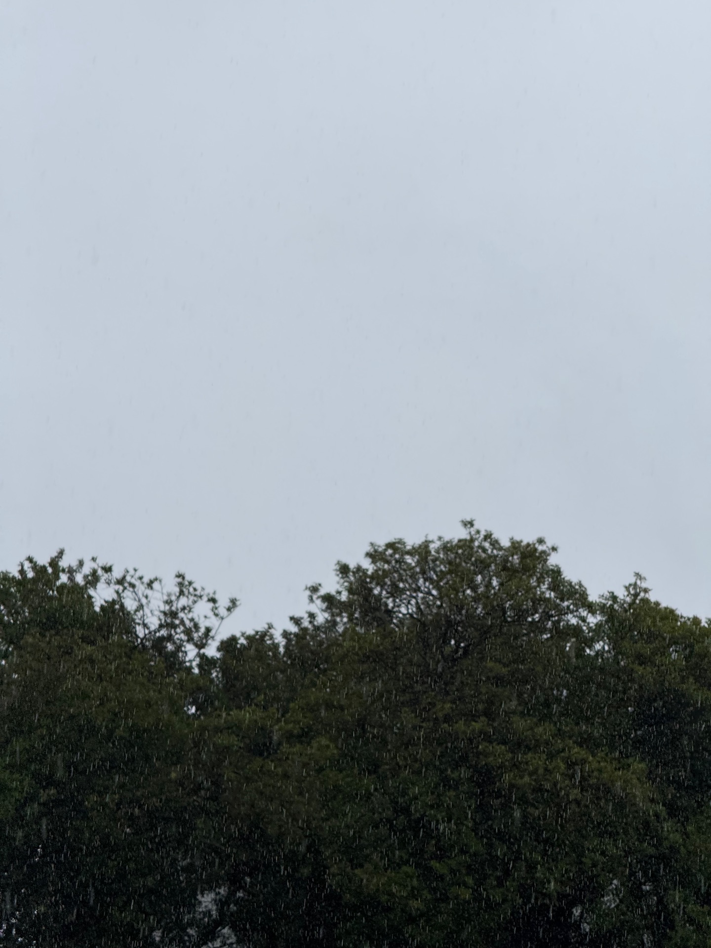 It’s raining now and it feels so much like fall cover