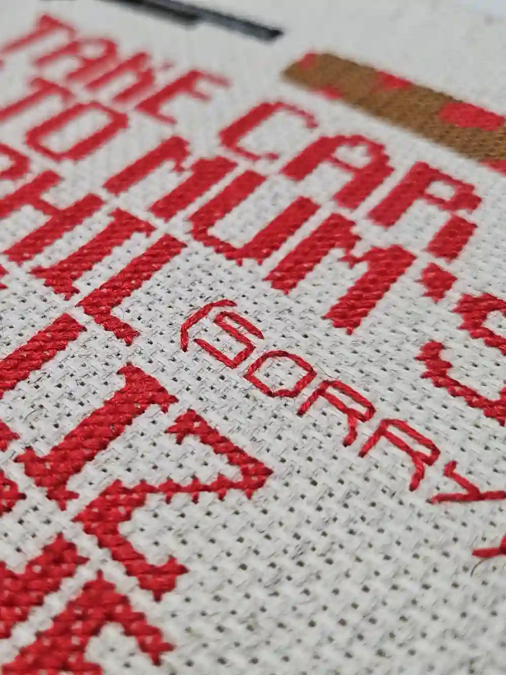 The stitches in detail, showing the thin stitches writing out the word (sorry). Cross-stitch.