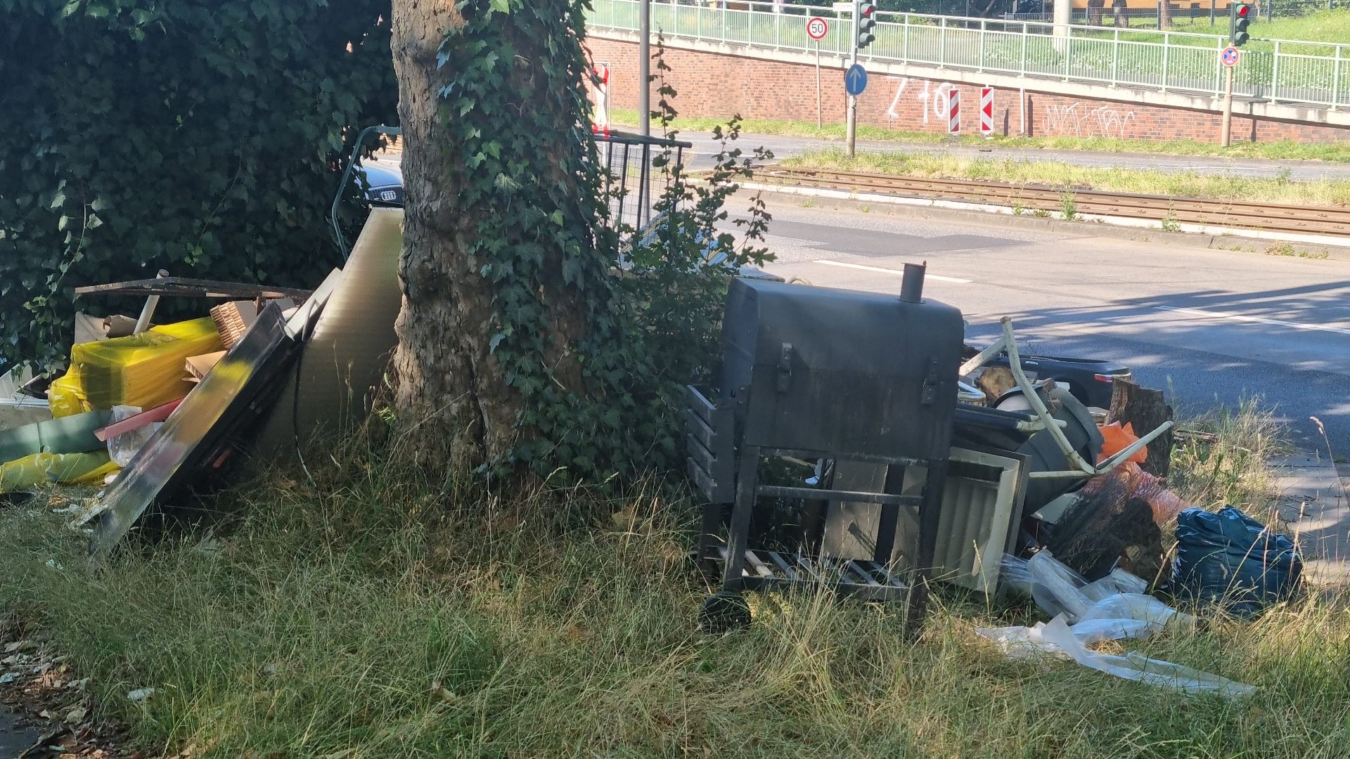 Wilder Müll auf einem Grünstreifen neben einer Straße.