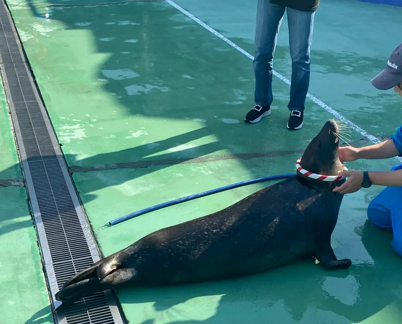 Pasted image 20260318053310.png