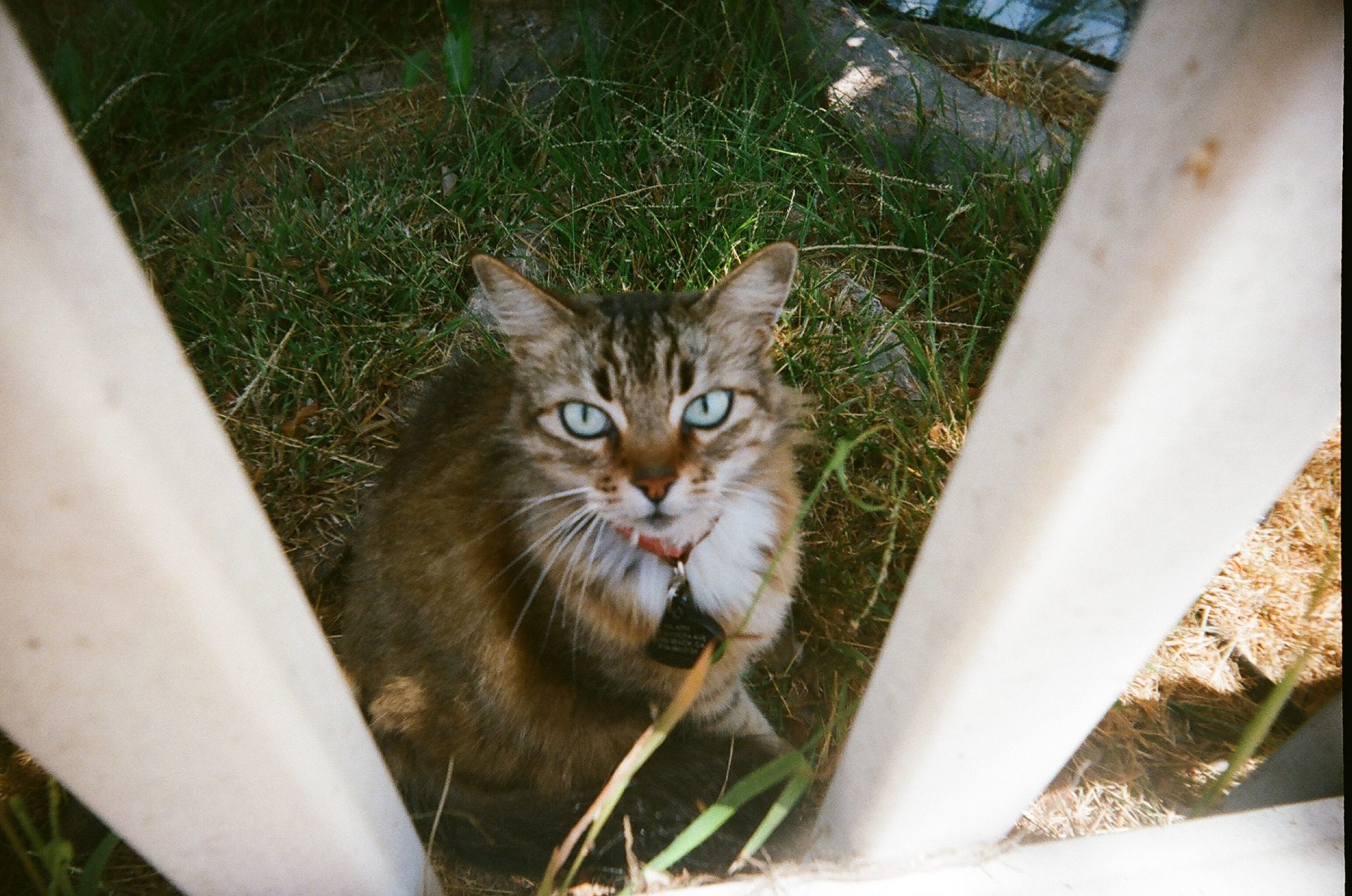 com.atproto.sync.getBlob-4