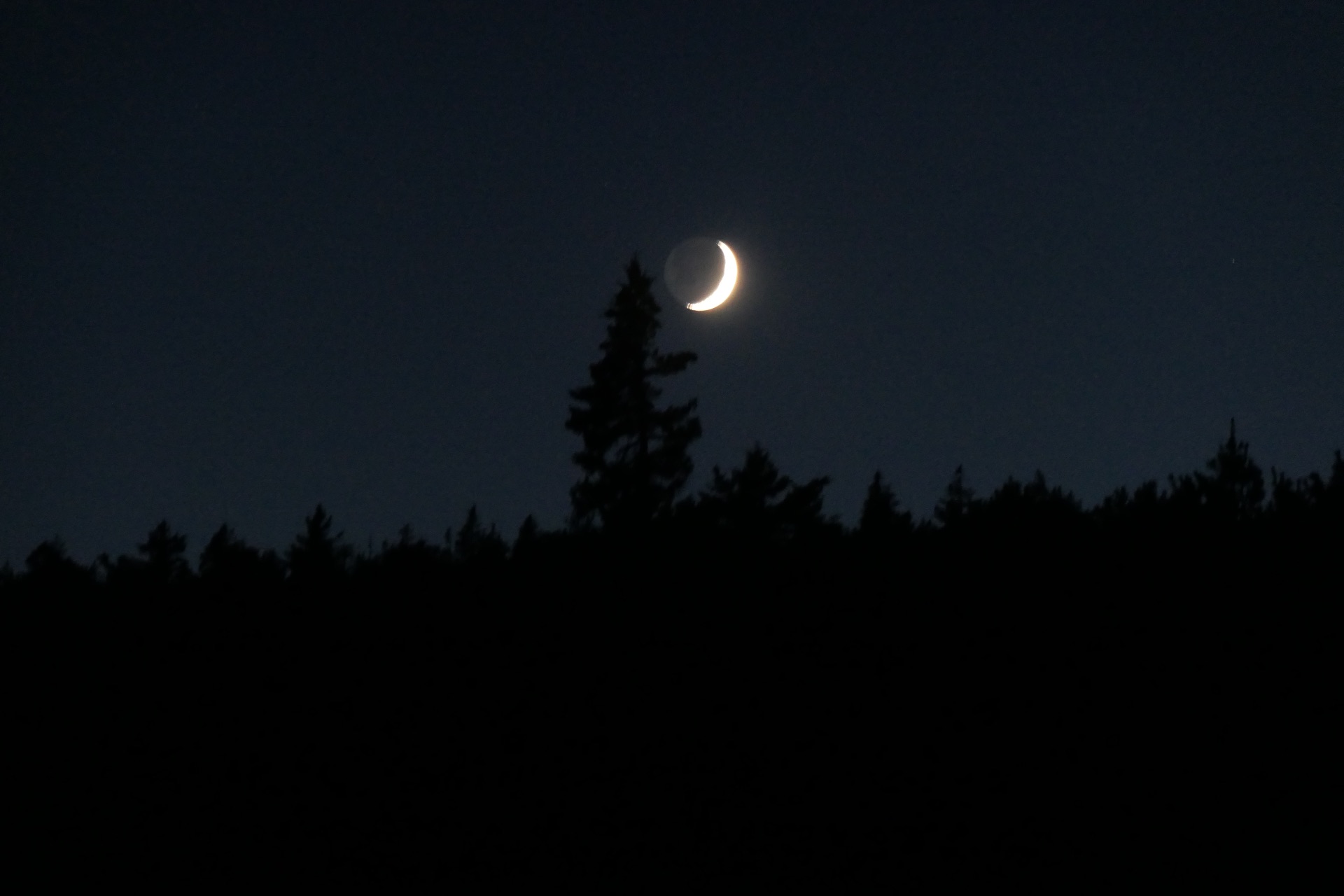 moon-in-acadia.jpg