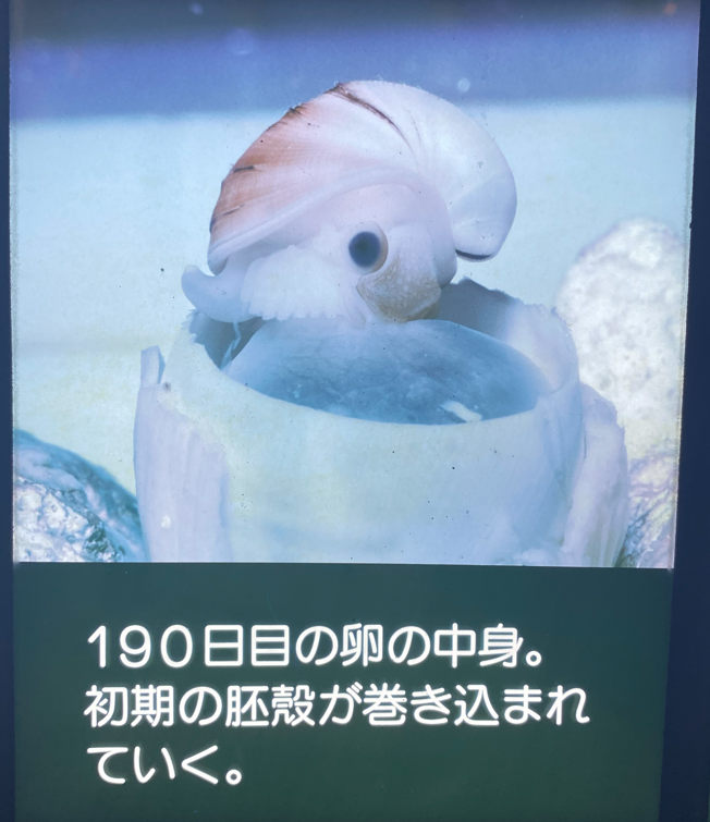 Pasted image 20260318024703.png