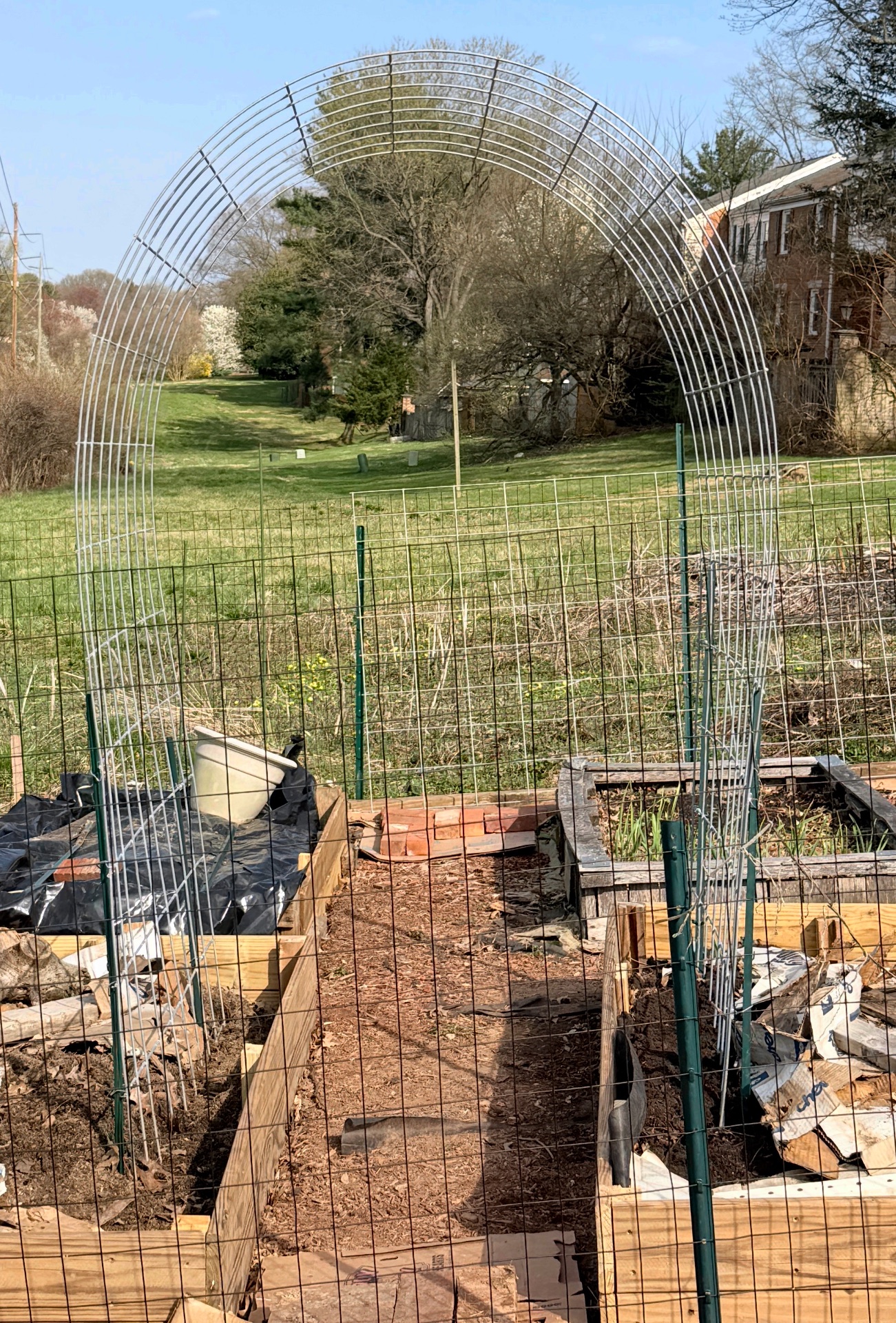 Cattle fence trellis 1.jpg