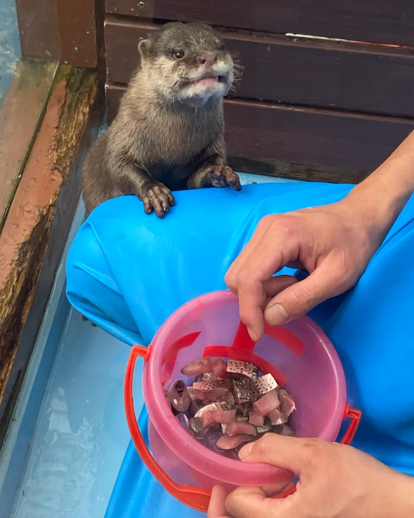 Pasted image 20260318052752.png