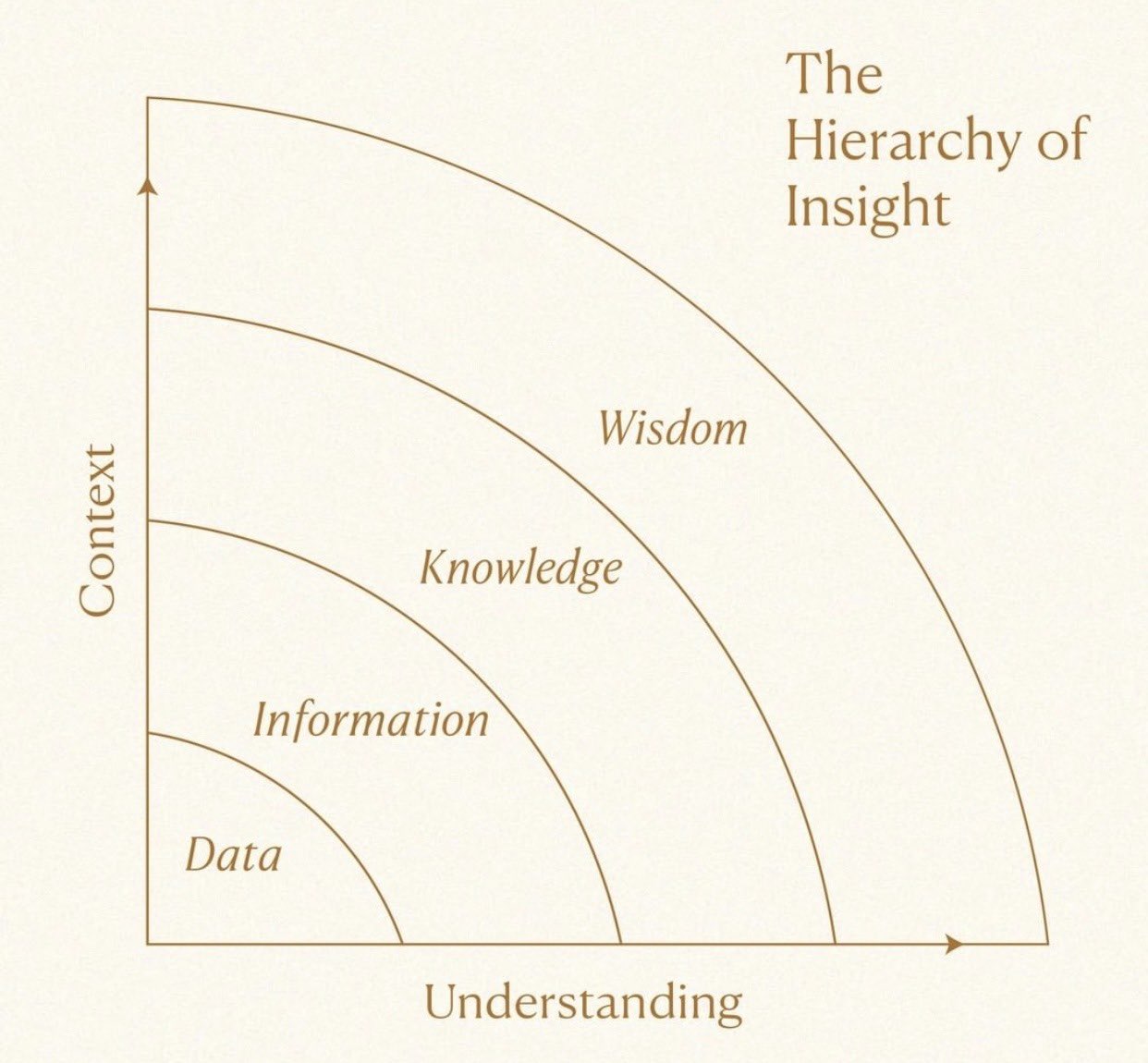 The hierarchy of insight