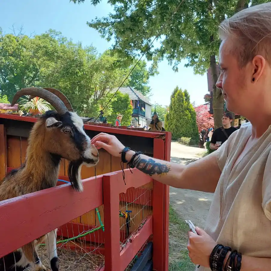 I reach out to pet a brown and black goat while wearing my pirate costume.