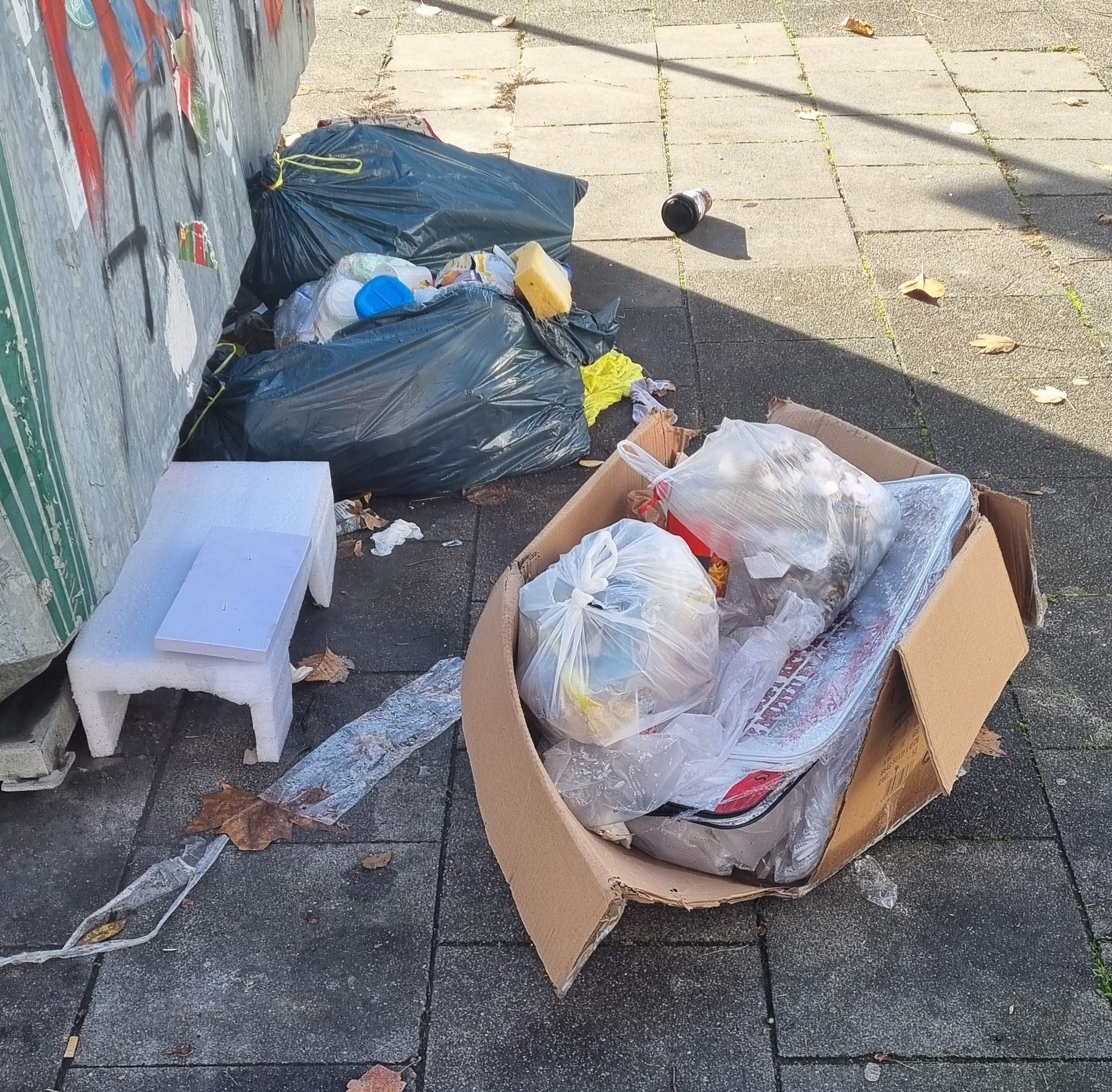 Wilder Müll vor einem Altglascontainer.