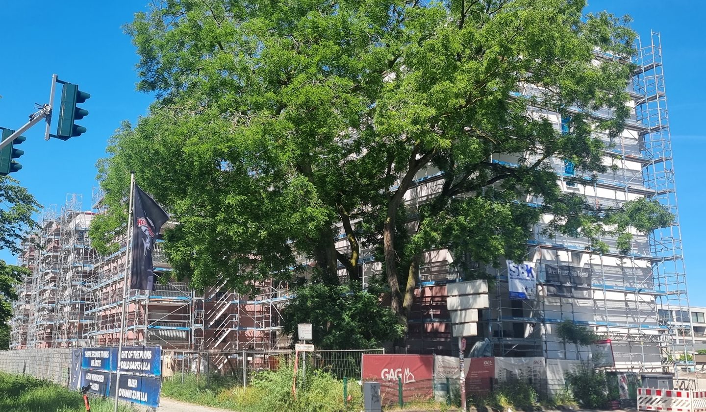 Eingerüsteter Neubau zweier Mehrparteienhäuser. Verdeckt durch Bäume.