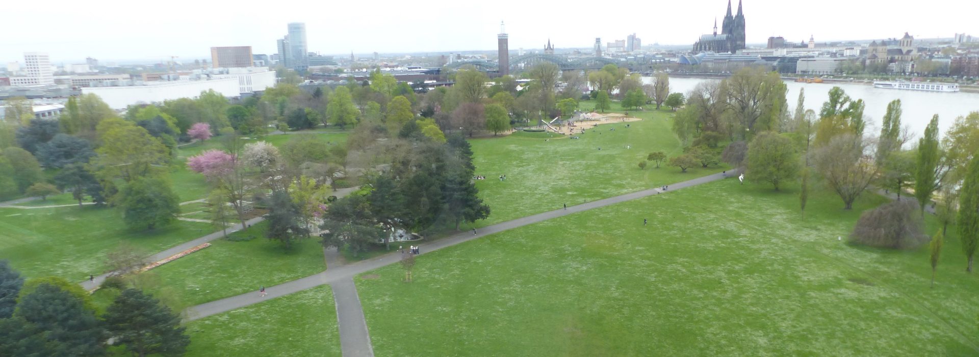 Blick auf den Rheinpark. Im Hintergrund Deutz, mit dem Messegelände und Cologne View. RTL-Turm. Hohenzollernbrücke. Rhein und Kölner Dom.