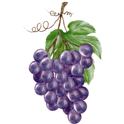 Everything but the kitchen sink cover