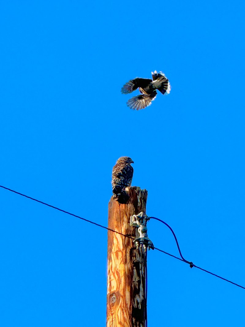 Photo from Google Photos