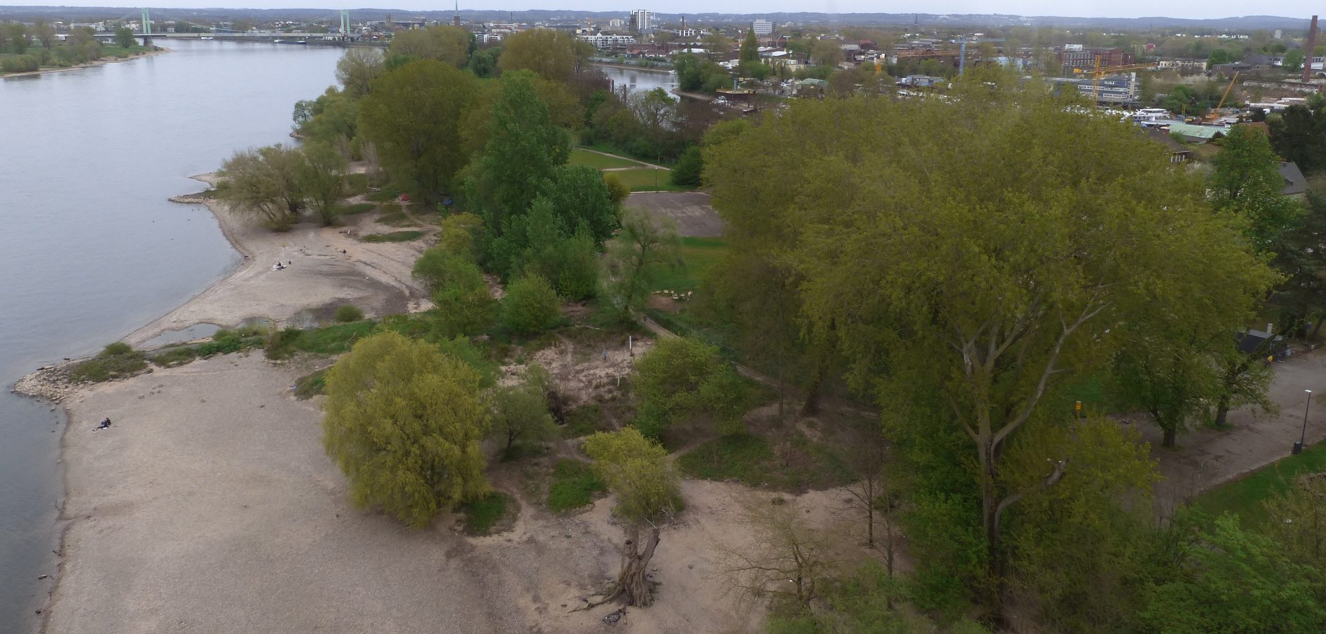 Blick auf den Jugendpark. Der nördlich der Zoobrücke gelegene Teil des Rheinpark. Eine Landzunge zwischen dem Wetterschutzhafen und dem Rhein.