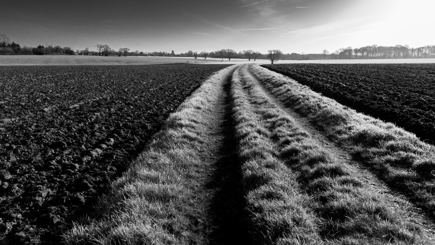 A high-contrast black and white photograph of a grassy, rutted farm track cutting through open fields on a crisp, frosty morning. The central path is covered in bright, frosty grass, creating strong leading lines that recede toward a distant horizon lined with bare trees. To the left and right of the path lie dark, deeply textured ploughed agricultural fields, accentuating the sharp seasonal contrast under a clear, low-angled morning sky.