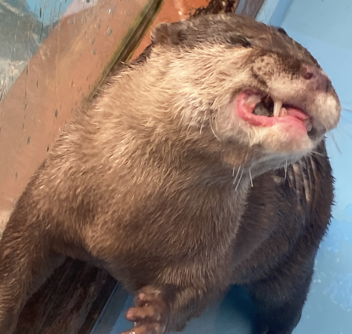 Pasted image 20260318053115.png