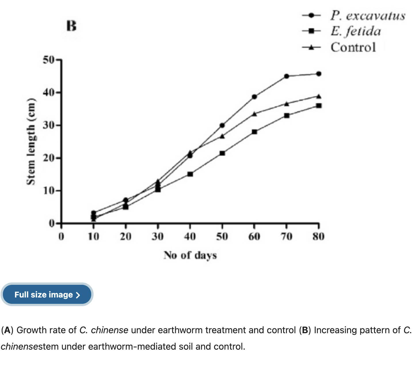 Chart showing (A) Growth rate of C. chinense under earthworm treatment and control (B) Increasing pattern of C. chinense stem under earthworm-mediated soil and control.