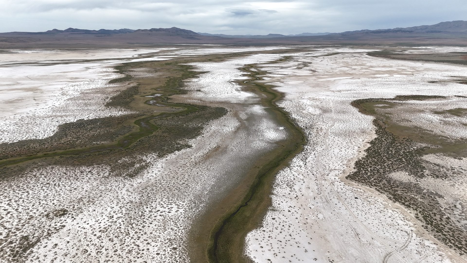 A large, flat expanse of white (salt) with a few small streams flowing through it. The area around the streams is lush and green. In the background, mountains can be seen.