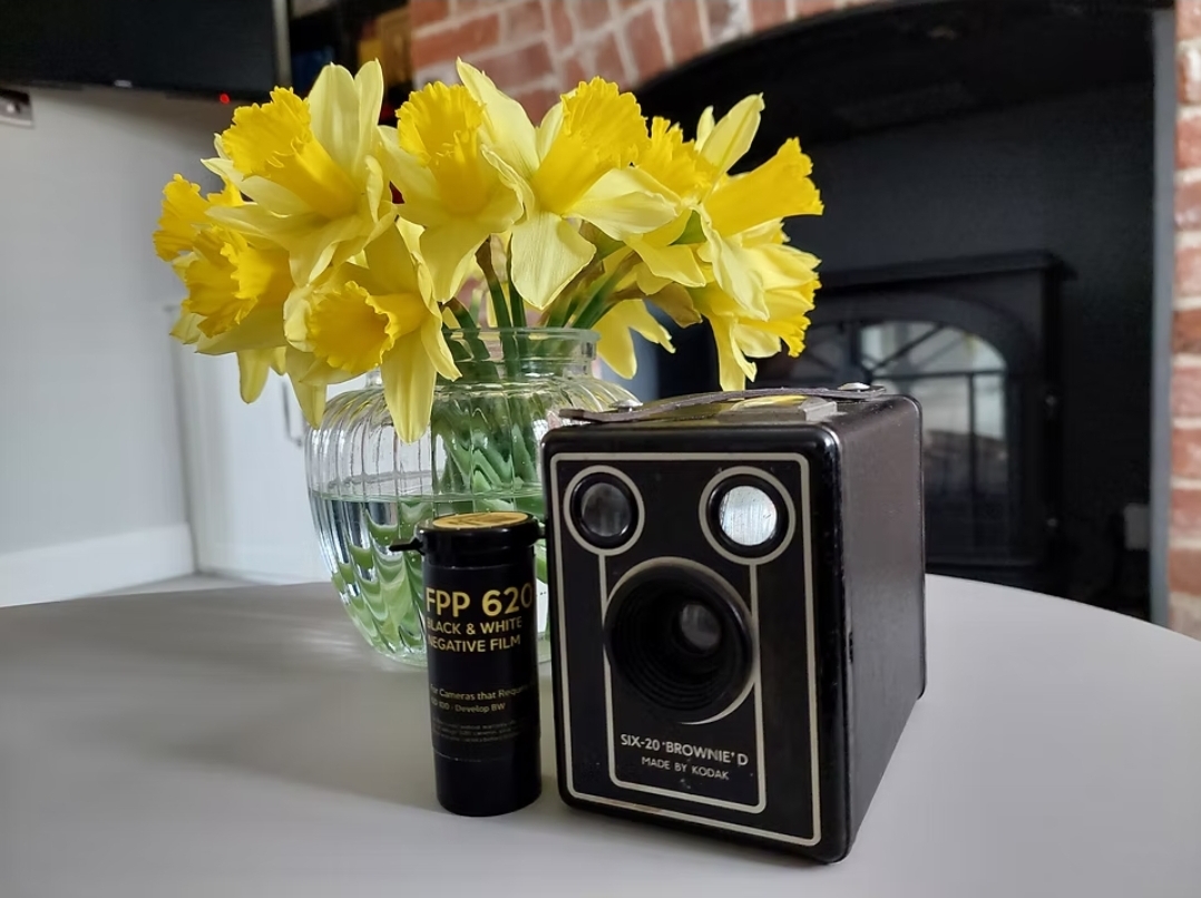 My Kodak Box Brownie Six-20 looking good for a seventy year old.