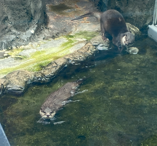 Pasted image 20260318024850.png