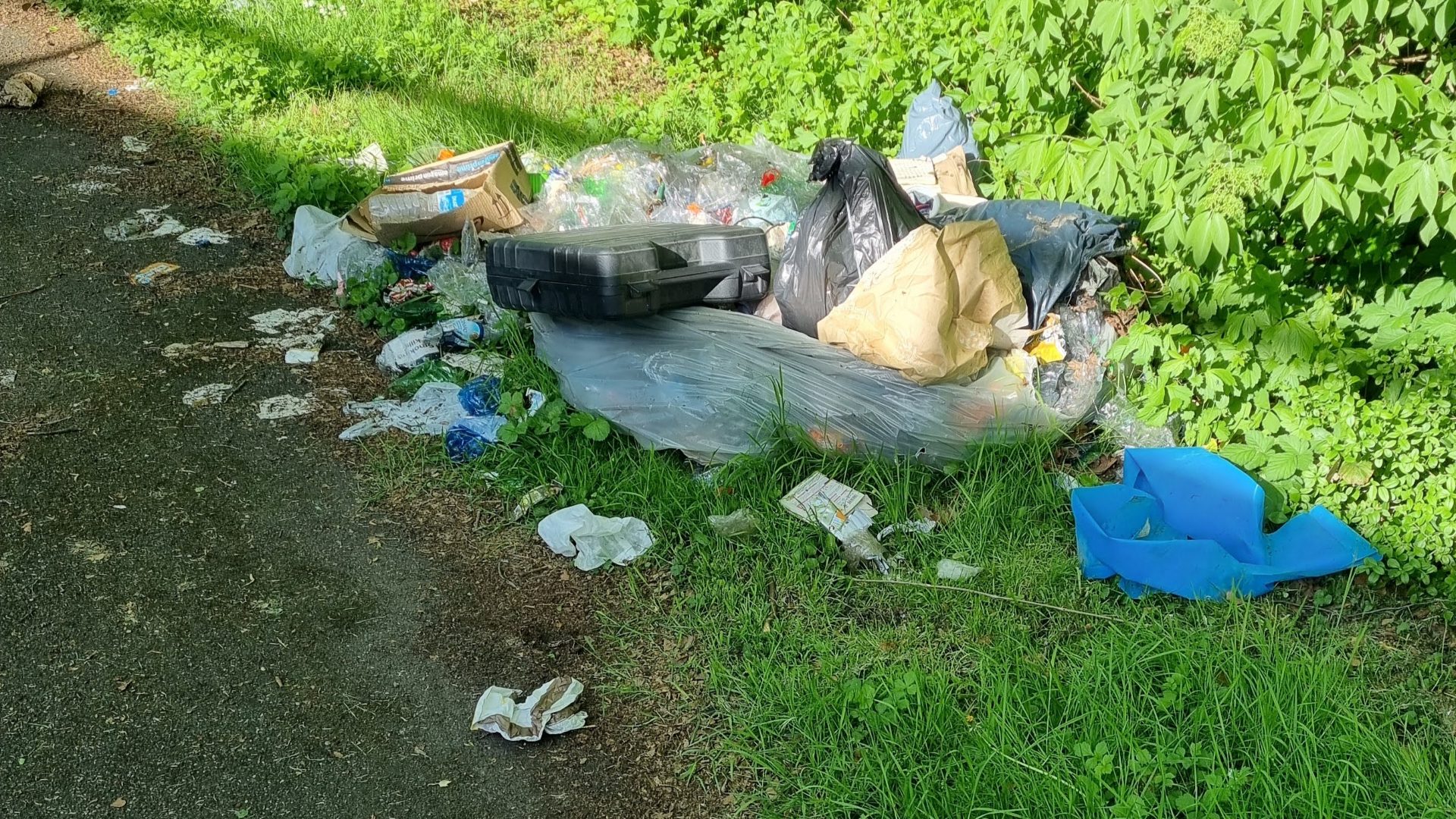 Wilder Müll in einer städtischen Grünanlage.