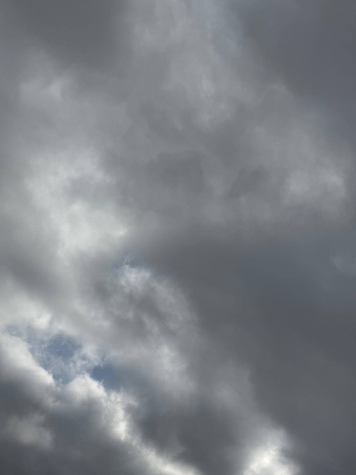 The sky peaks through cover