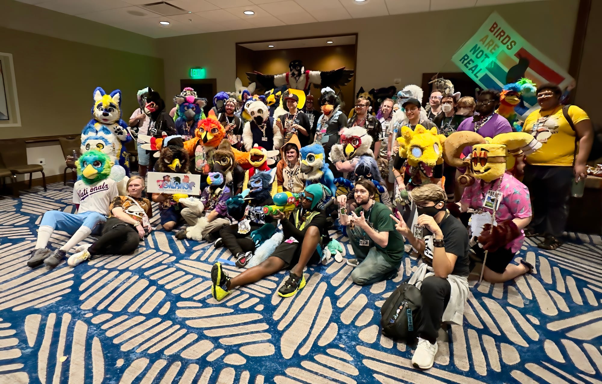 Avian furs group photo.